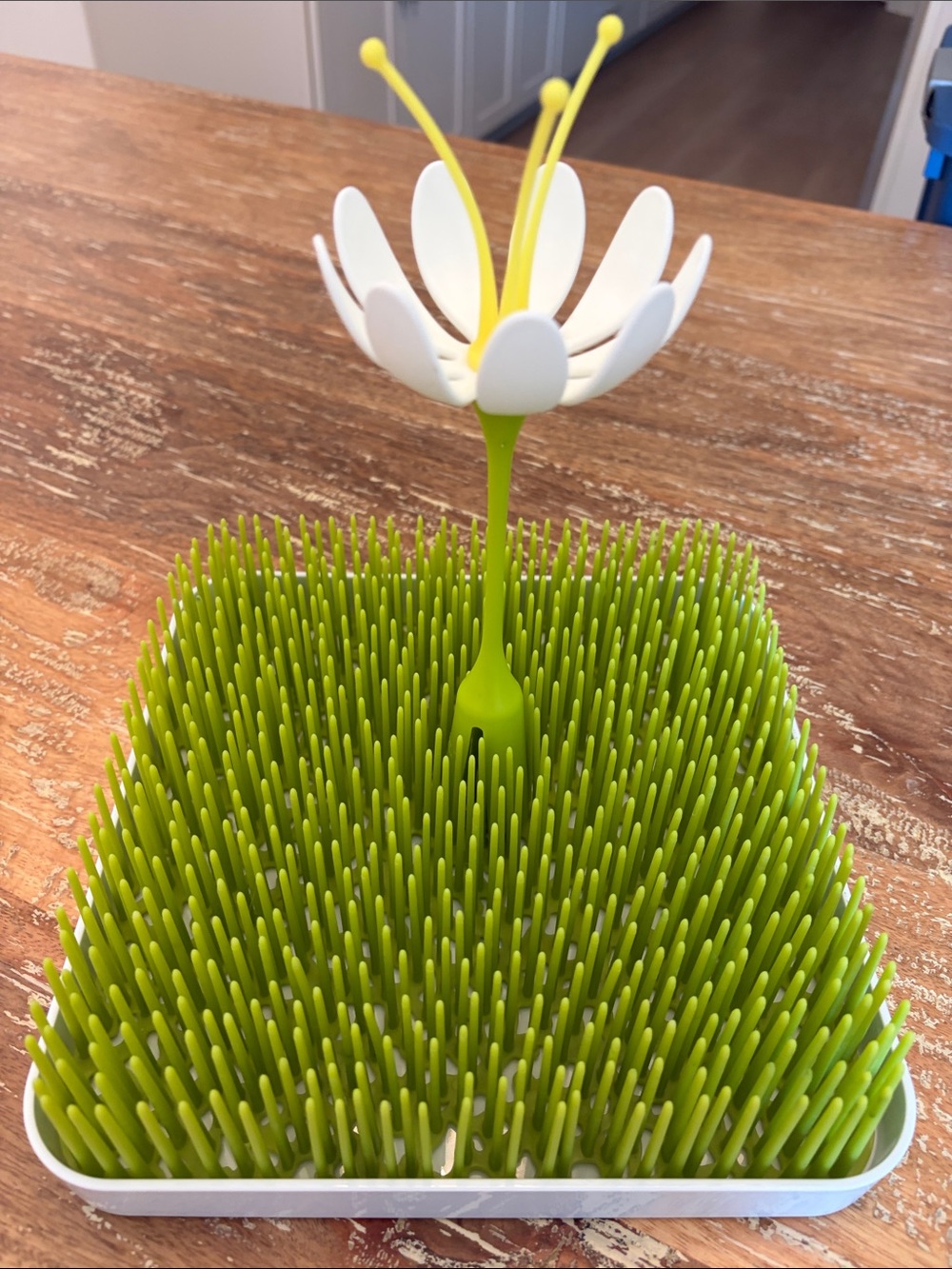 Source Unknown White & Yellow Daisy Bottle Drying Rack with Green Grass Mat